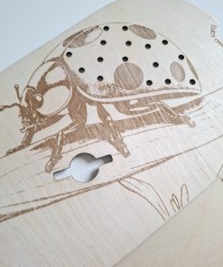 Petit insert coccinelle