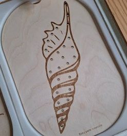 Petit insert coquillage