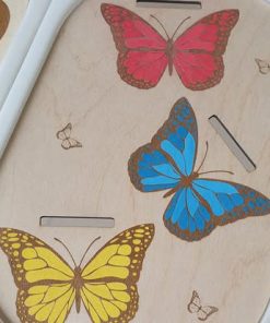 Petit insert papillon de couleurs