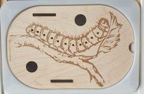 Petit insert chenille