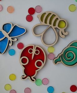 Lot insecte translucide