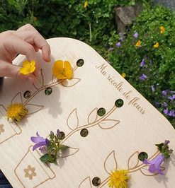 Petit insert ma récolte de fleure