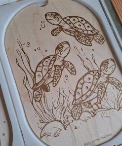 Petit insert 3 tortues