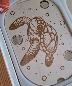 Petit insert la tortue