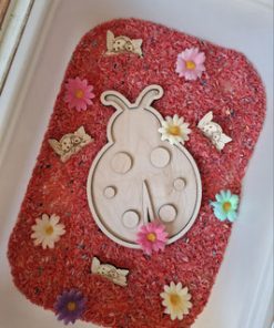 Grande coccinelle de transvasment