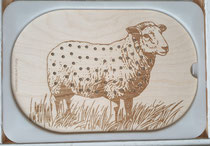 Petit insert le mouton