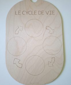 Petit insert Le cycle de la vie