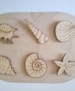 Petit insert Associer des coquillages