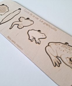 >Puzzule cycle de la vie grenouille