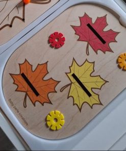 Feuilles d’Automne les couleurs