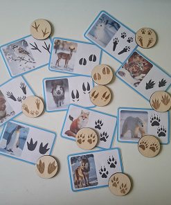 Jeu d’association – Hiver : Animaux et empreint