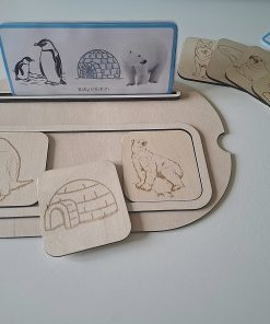 Associe et découvre les animaux du froid