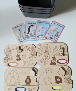 ❄️ Pack sensoriel Animaux du Froid – Inspiration Montessori avec bacs