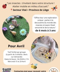 🐞 Atelier des Insectes : Découverte & Éveil
