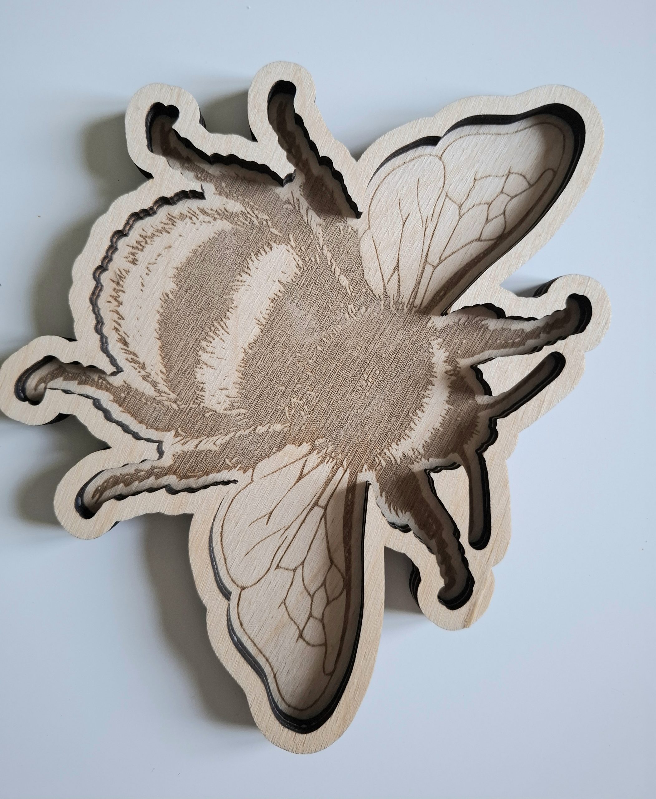 Grande abeille transvasement – Image 3