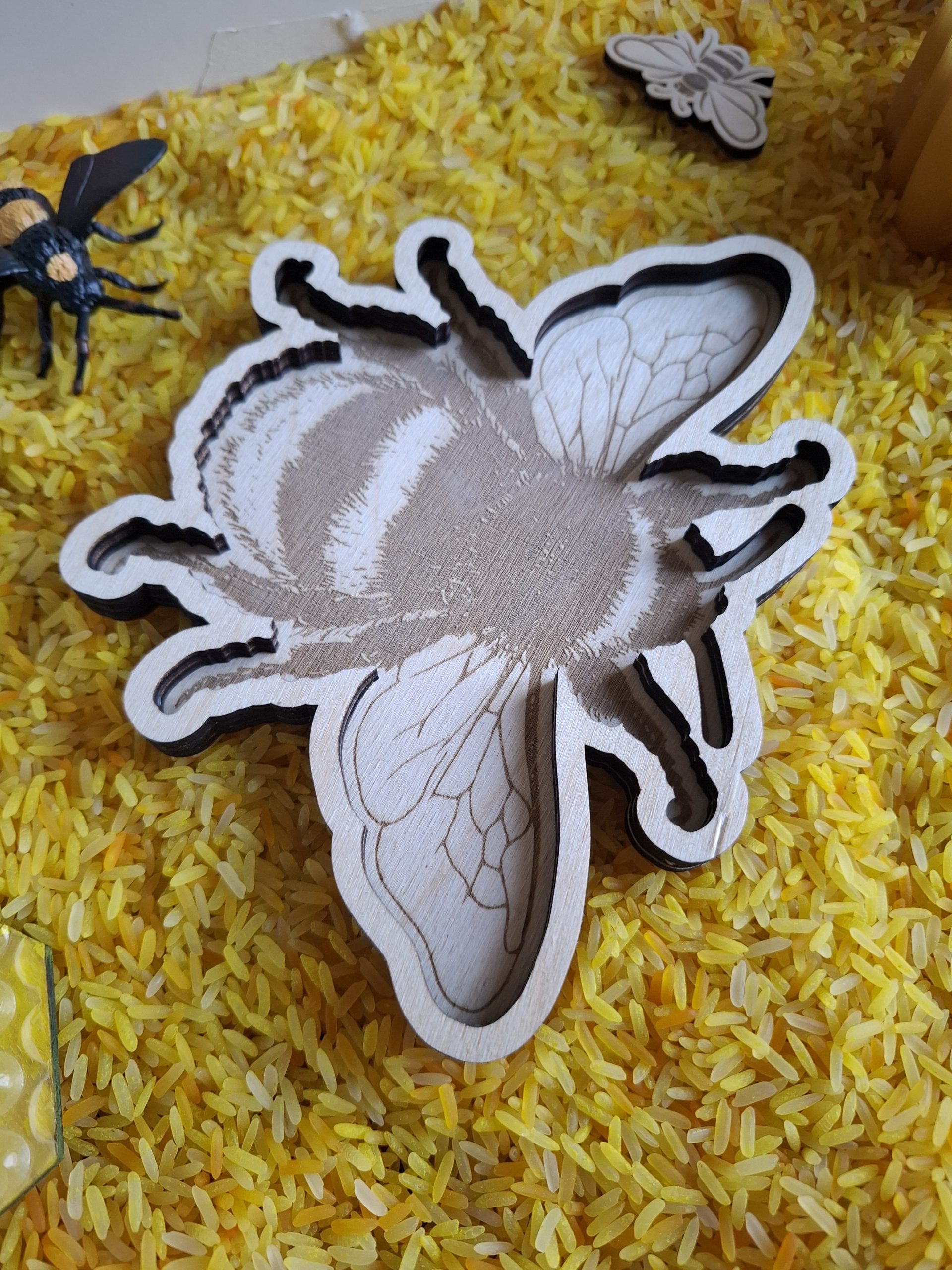 Grande abeille transvasement