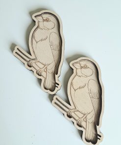 Oiseau transvasment