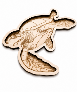 Plateau de transvasement Tortue Marine