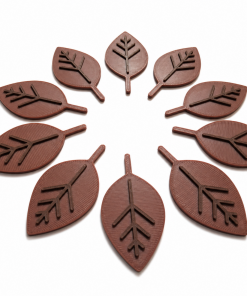 Lot de 10 Petites Feuilles Bicolores Marron