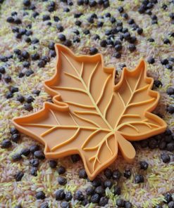Grande Feuille orange d'Automne pour Transvasement